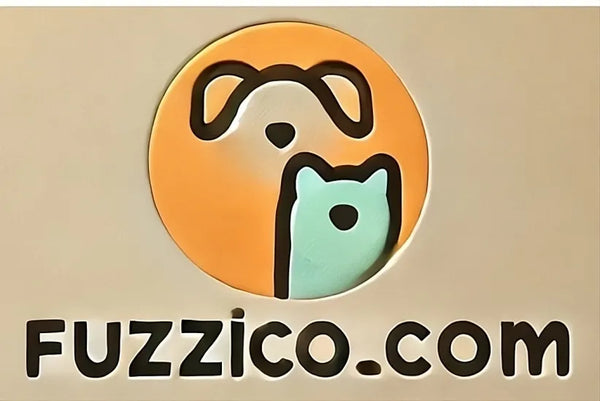 1753839093605-fuzzicologo.webp